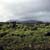 Snæfellsnes. Ausflug 1. Etwas Snæfellsnes. Viel Rot und Grün.