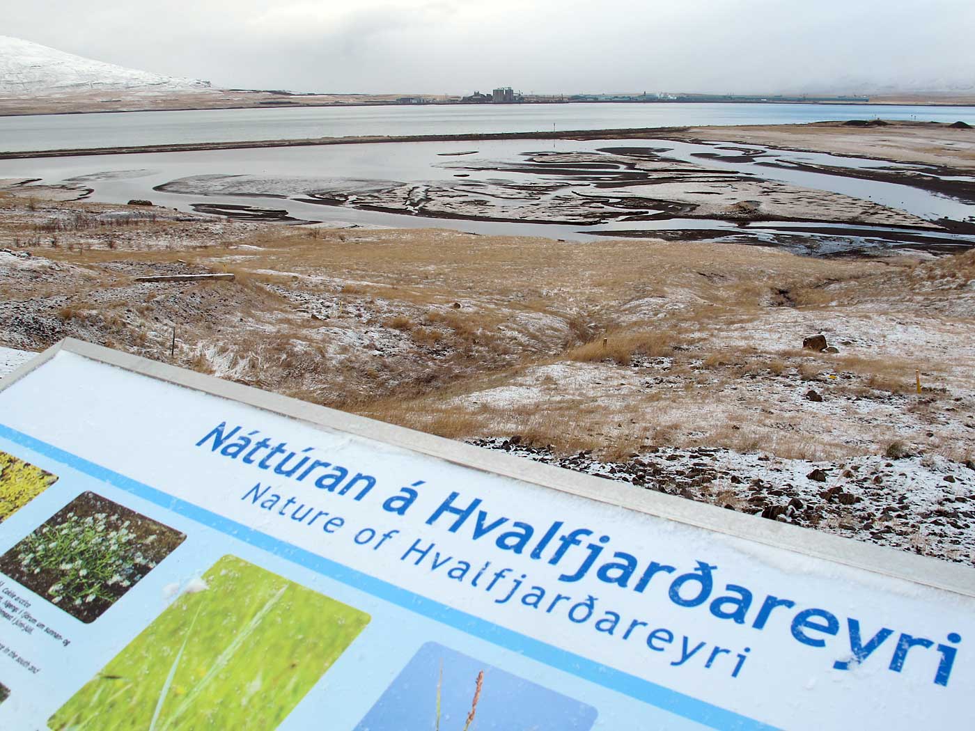 Hvalfjörður. Day trip 2. Some Hvalfjörður. A lot of white and grey. - I. The nature of Hvalfjarðareyri (this little island you can see here) ... And in the background this huge aluminium factory Grundartangi ... (3 March 2013)