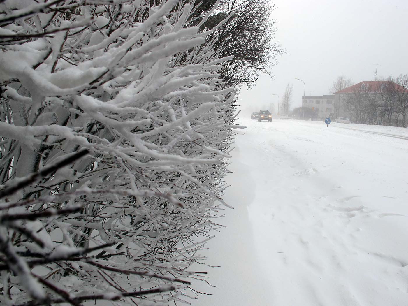 Reykjavík. Snow chaos - just for one day. - V. (6 March 2013)