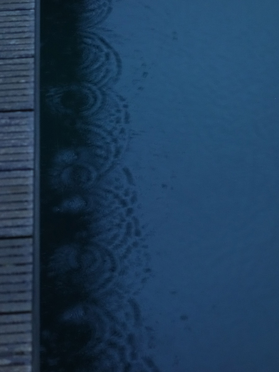 Viðey. Frühjahrsfahrt (mit Regen) nach Viðey. - Auf Viðey. XIII. (10.05.2013)