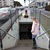 Reykjavík. 'Avant-garður 3' under a street.