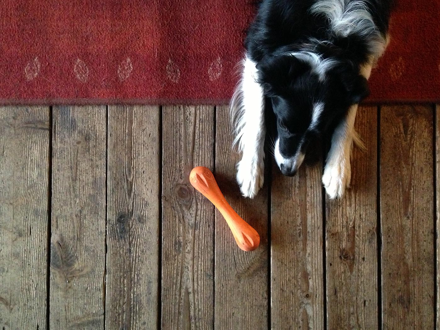 Djúpavík. Verschiedenes LVI. - II. Freyja. (01. bis 09.06.2013)