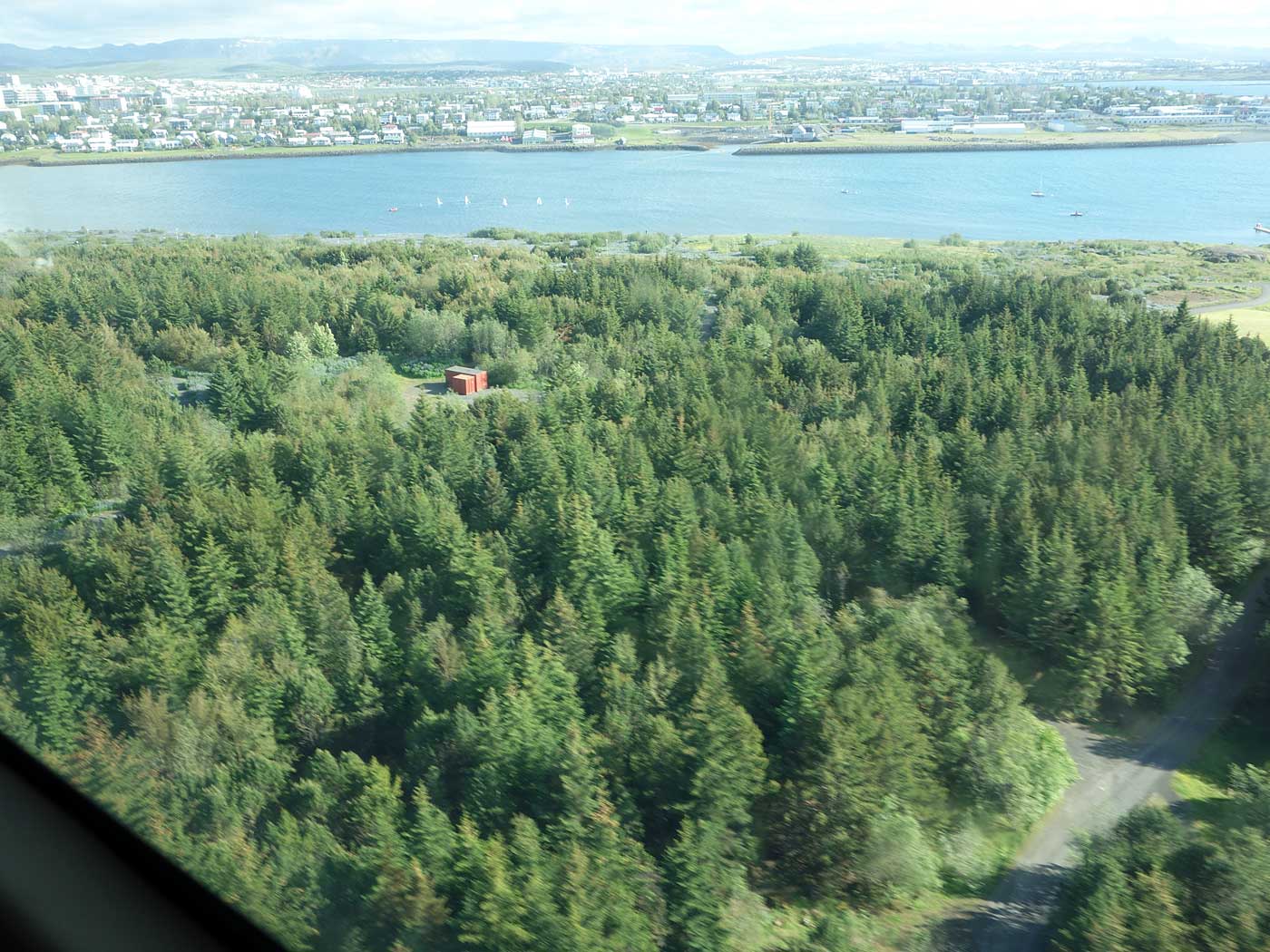 Zwischen Djúpavík und Reykjavík. Ein Flug. - Der Wald um Perlan (Öskjuhlíð). (01.07.2013)