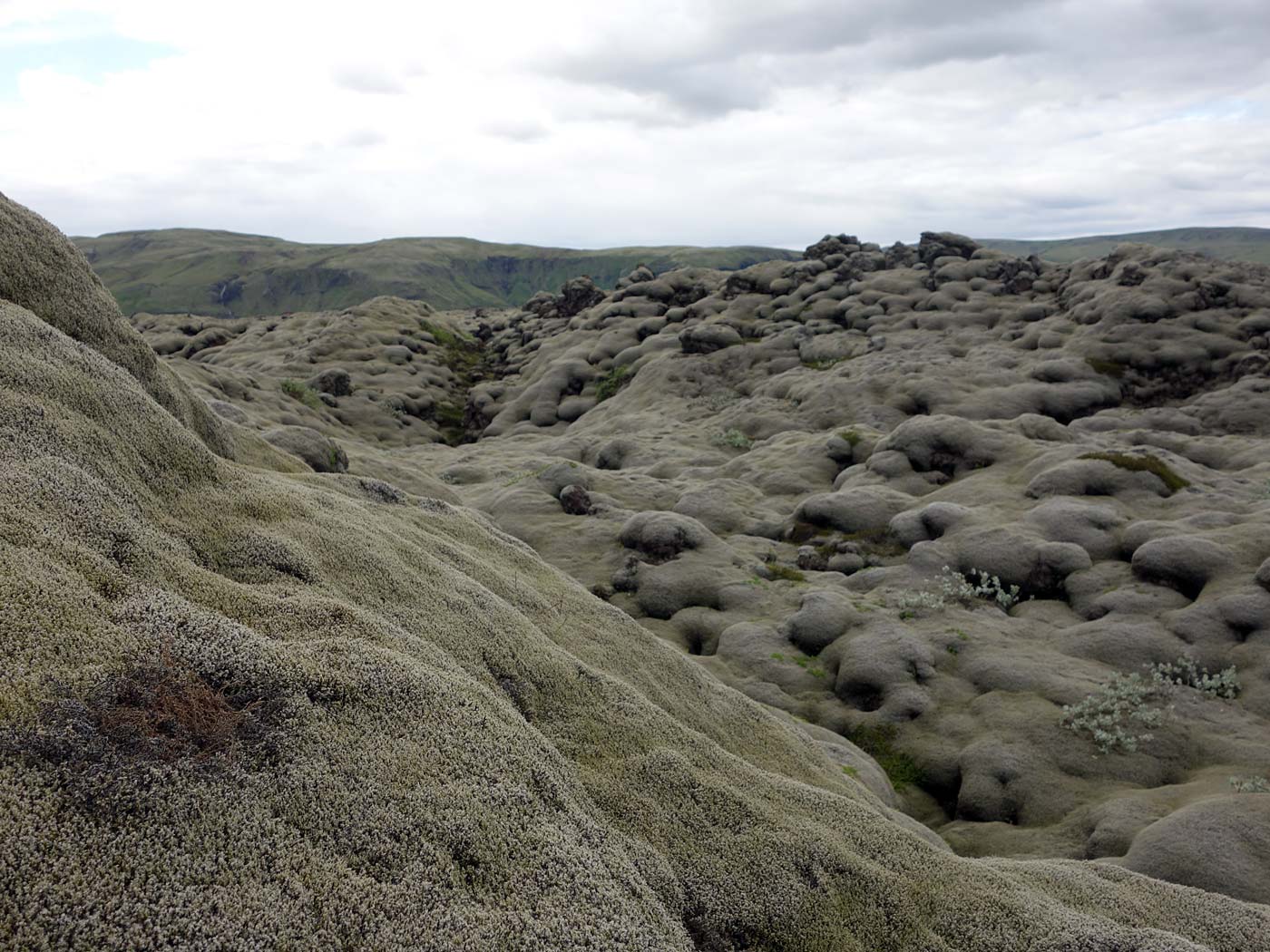 Rund um Island. Tag I. Reykjavík - Djúpivogur. - Irgendwo neben der '1' an der Südküste. (02.07.2013)