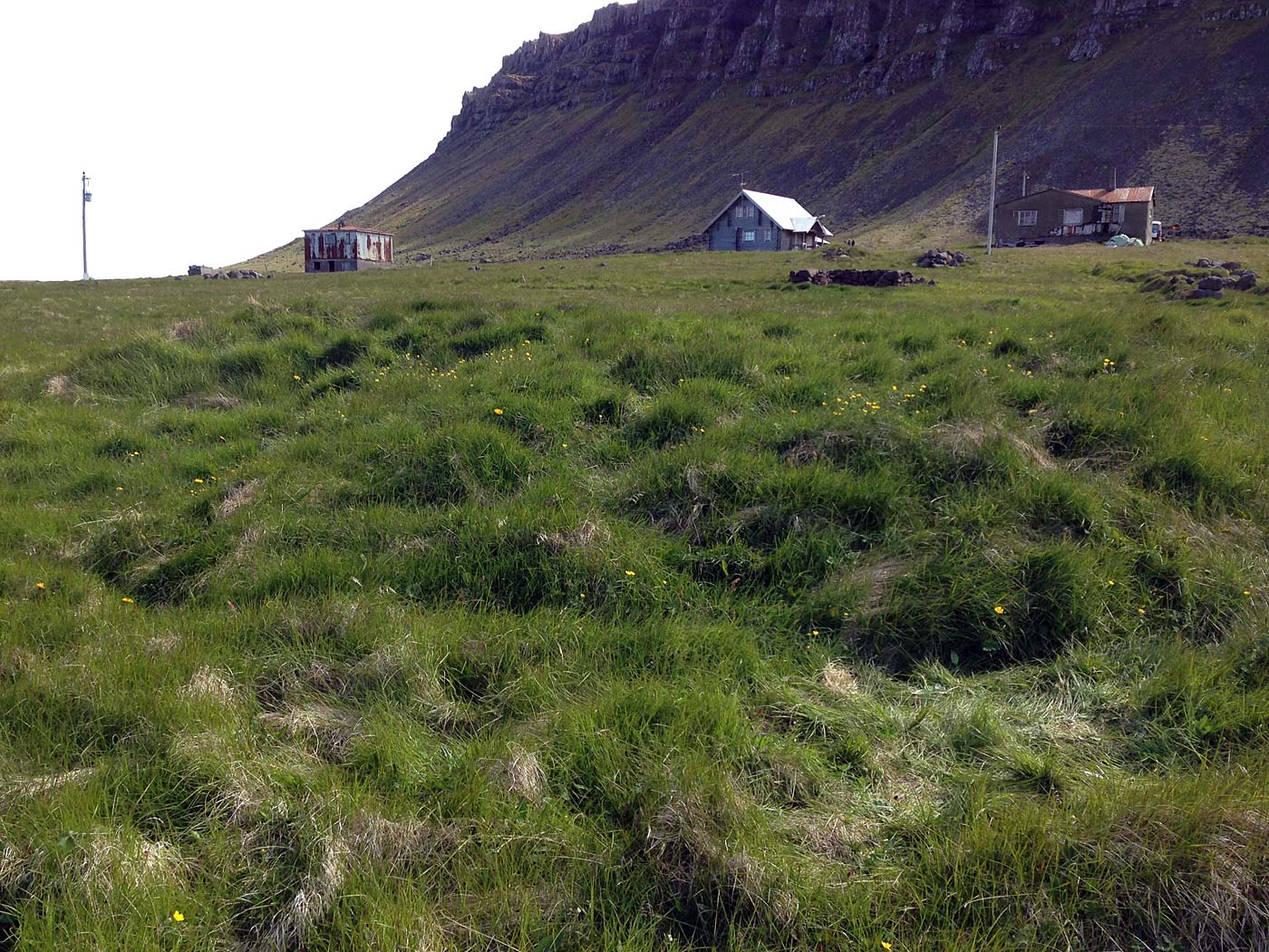 Rund um Island. Tag II. Djúpivogur - Eskifjörður. - Nochmals irgendwo dazwischen ... Sommer, Sonne, geniessen! (03.07.2013)