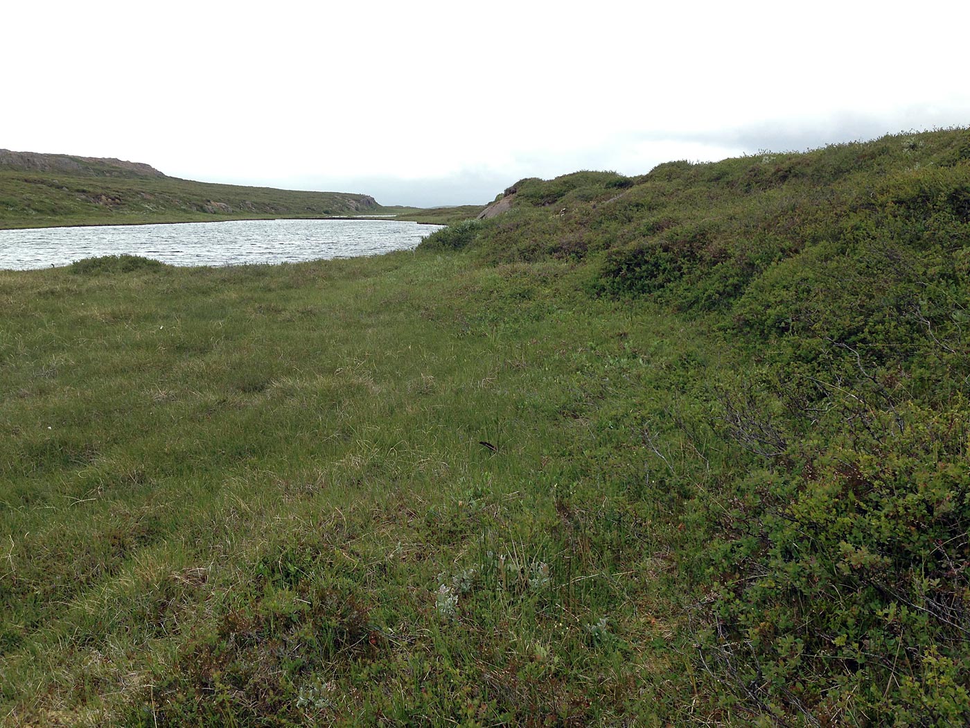 Rund um Island. Tag III. Eskifjörður - Borgarfjörður eystri. - Nochmals irgendwo dazwischen ... Aber nun mit weniger Sommer und Sonne. Aber dennoch geniessen! (04.07.2013)