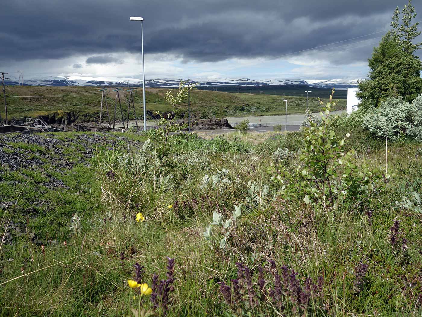 Around Iceland. Day IV. Borgarfjörður eystri - Langanes. - Nature around the hydroelectric project <a href='http://www.verkis.com/projects/hydropower/medium-power-plants/nr/1389' target='_blank' class='linksnormal'>Lagarfossvirkjun</a>. (5 July 2013)
