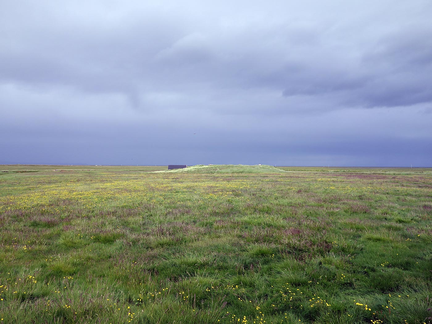 Rund um Island. Tag V. Nur Langanes. - Wandern heute. I. (06.07.2013)