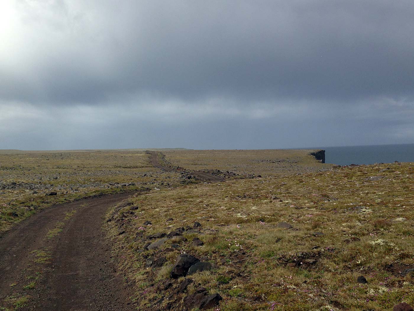 Rund um Island. Tag V. Nur Langanes. - Wandern heute. II. (06.07.2013)