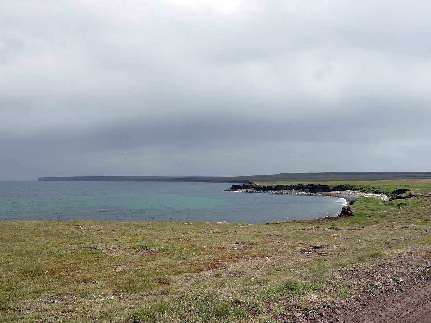 Around Iceland. Day V. Langanes only. - Hiking today. IV. (6 July 2013)