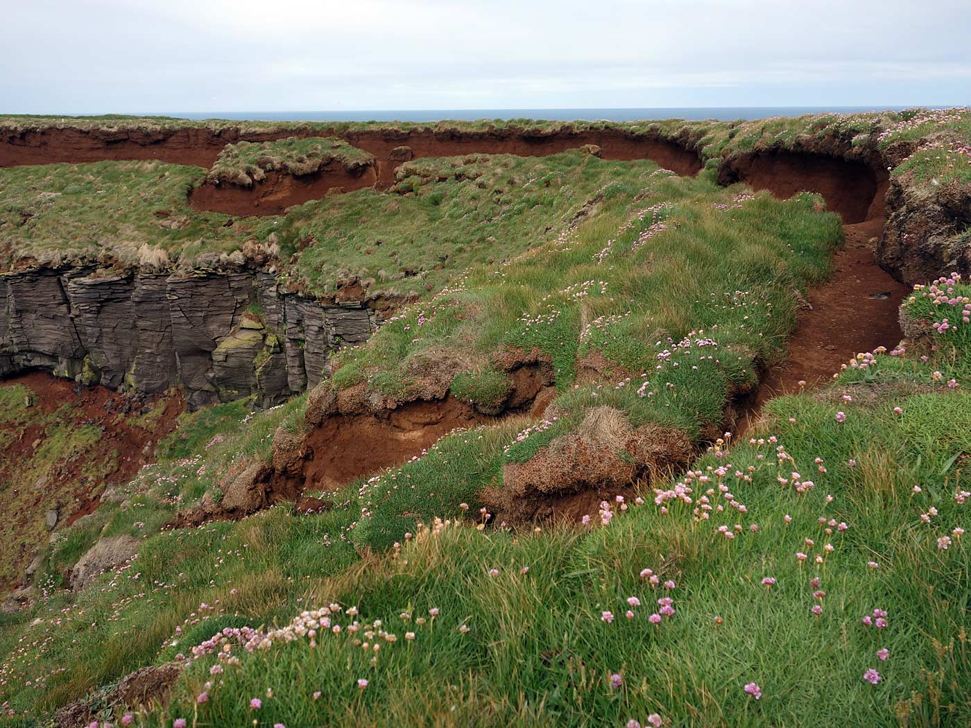 Around Iceland. Day V. Langanes only. - Hiking today. XI. (6 July 2013)