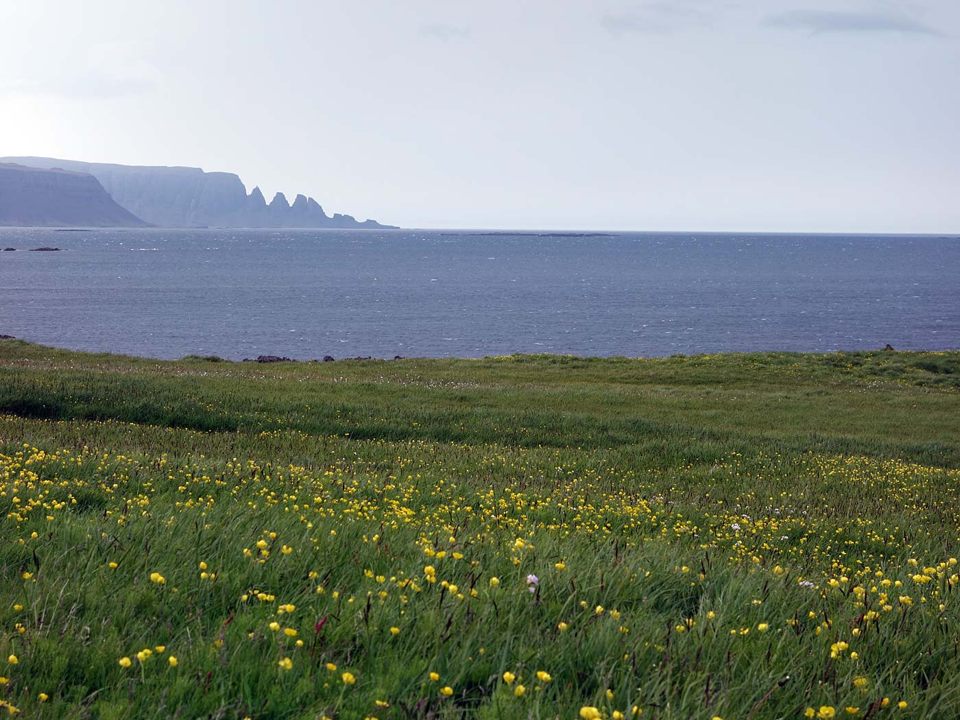 Djúpavík. Verschiedenes LX. - Östlich der Farm 'Munaðarnes' (Ingólfsfjörður). Wunderbar erkennbar 'Drangaskörð'. (08. bis 14.07.2013)