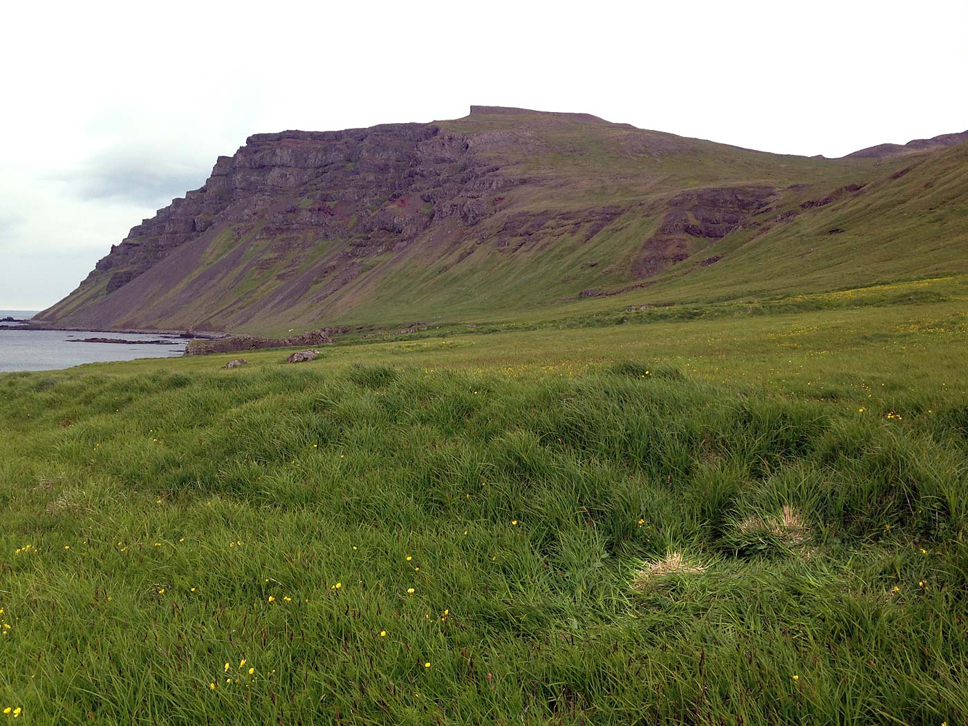 Djúpavík. Verschiedenes LX. - :-). (08. bis 14.07.2013)