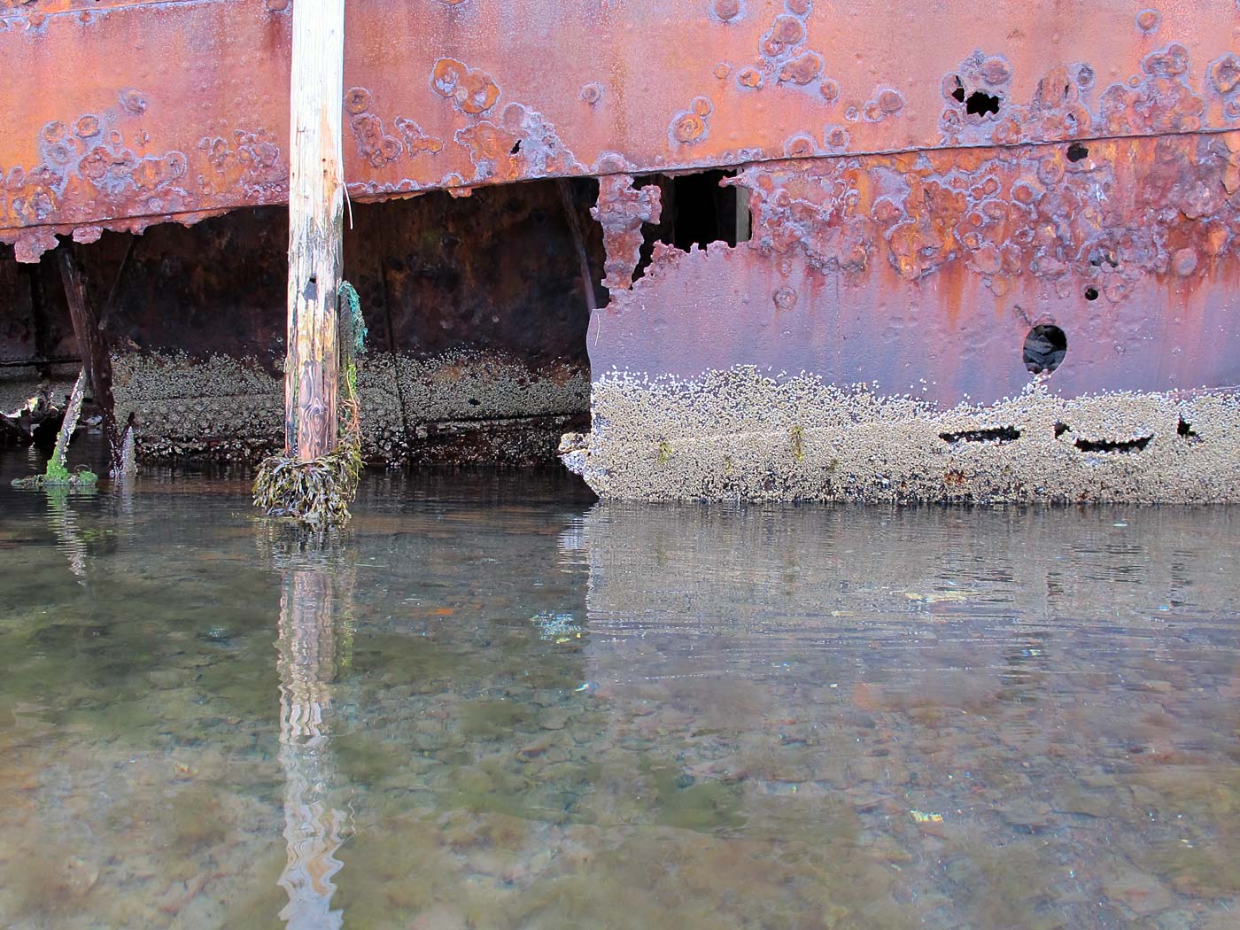 Djúpavík. A short trip by kayak. - Rusty rests of the ship M/S Suðurland. Year by year it is getting less ... III. (9 August 2013)