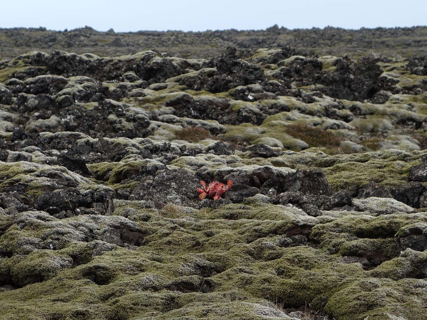 Kleifarvatn. Wieder einmal hier ... - Kleifarvatn. VII. (13.09.2013)