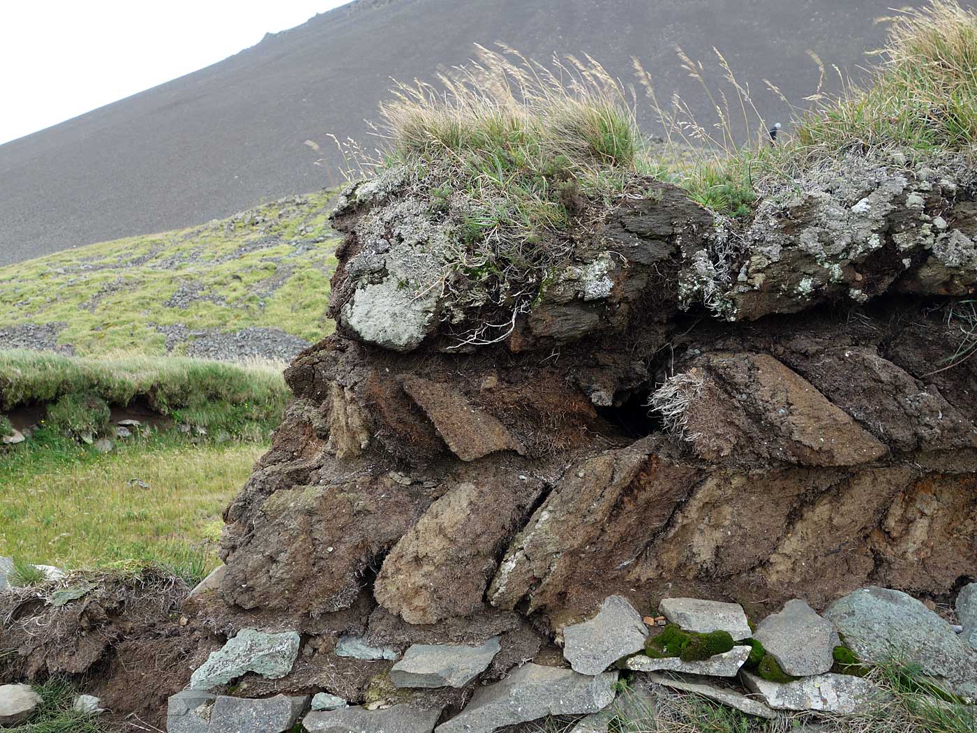 Reykjavík - Djúpavík. Heute ankommen in Djúpavík und ... - Weiterhin der gleiche Ort, aber nun eine Detailansicht. (14.09.2013)