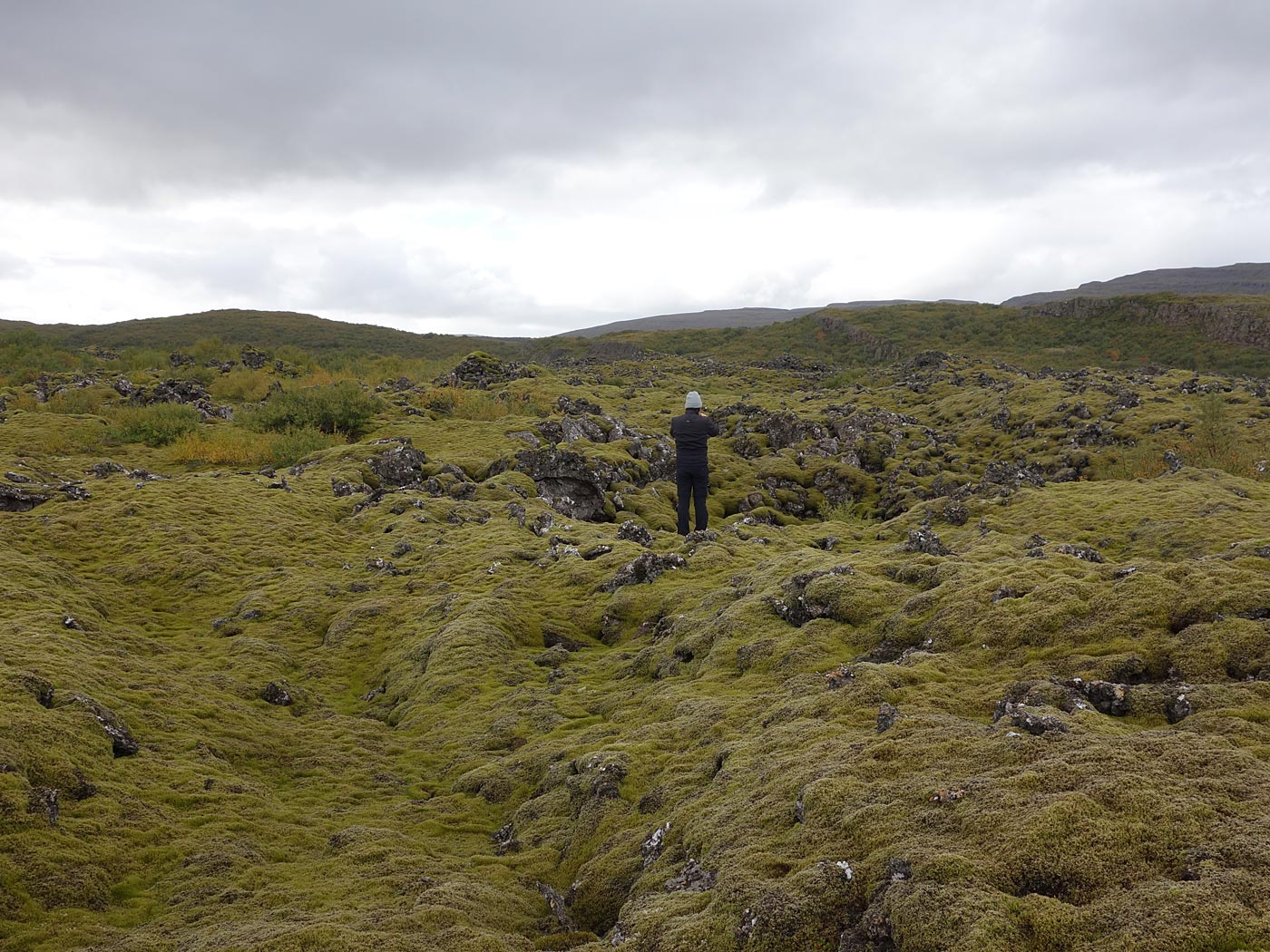 Reykjavík - Djúpavík. Today arriving in Djúpavík and ... - Somewhere near Borgarnes and ... further north. I. (14 September 2013)