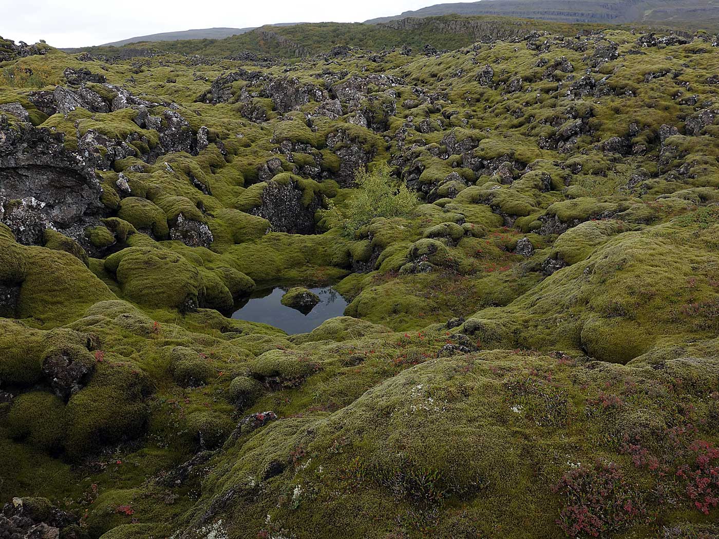 Reykjavík - Djúpavík. Heute ankommen in Djúpavík und ... - Irgendwo zwischen Borgarnes und ... weiter nördlich. II. (14.09.2013)