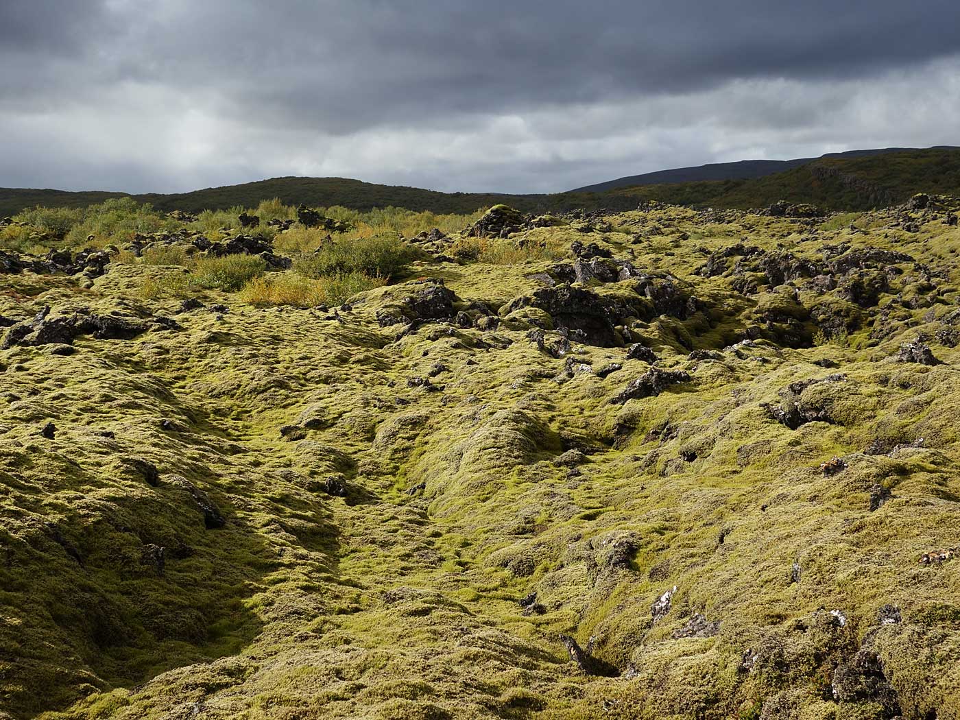 Reykjavík - Djúpavík. Heute ankommen in Djúpavík und ... - Irgendwo zwischen Borgarnes und ... weiter nördlich. III. (14.09.2013)