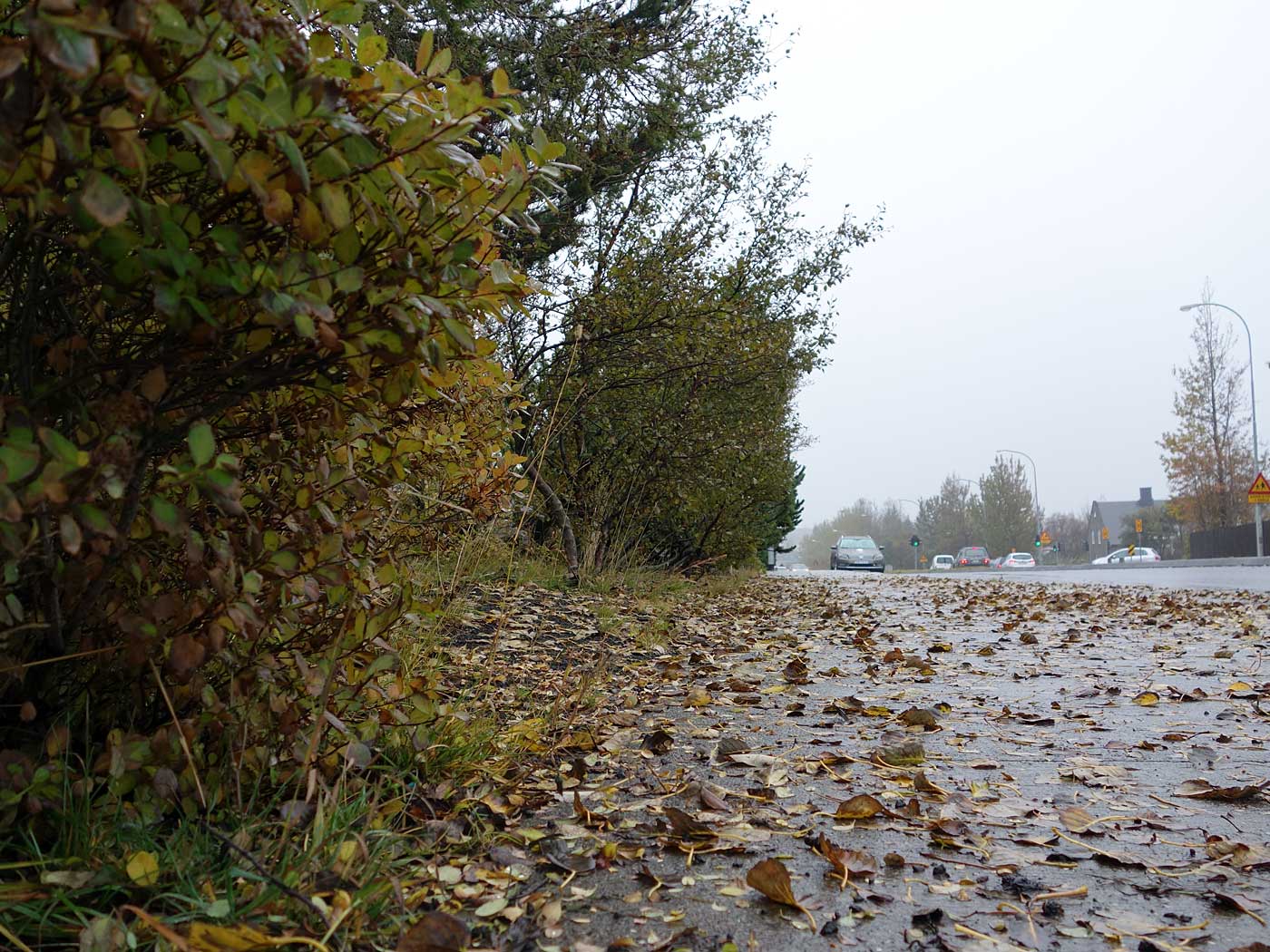 Reykjavík. Verschiedenes LXX. - Herbst. (16. bis 30.09.2013)