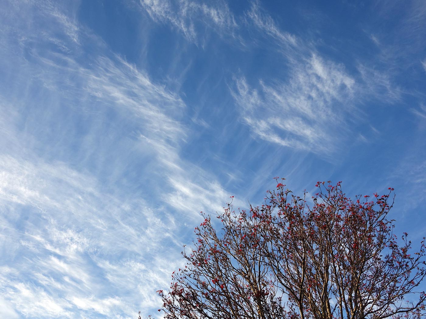 Reykjavík. Clouds. - f. XIII. (7 October 2013)