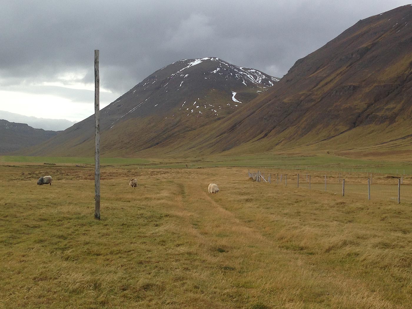 Djúpavík. Und Trékyllisvík. I. - Trékyllisvík. (11.10.2013)