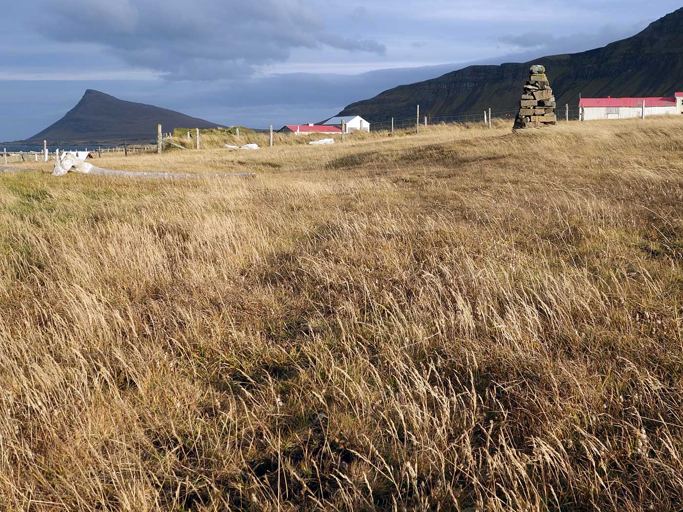 Djúpavík. Und Trékyllisvík. I. - Trékyllisvík. (11.10.2013)