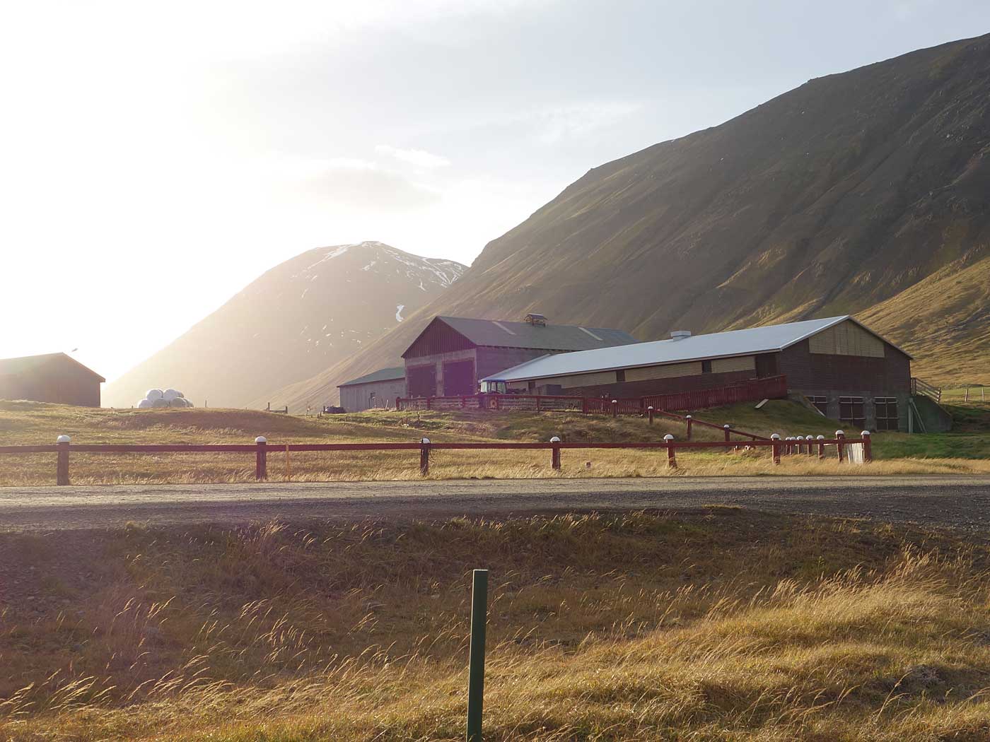 Djúpavík. Und Trékyllisvík. I. - Trékyllisvík. (11.10.2013)