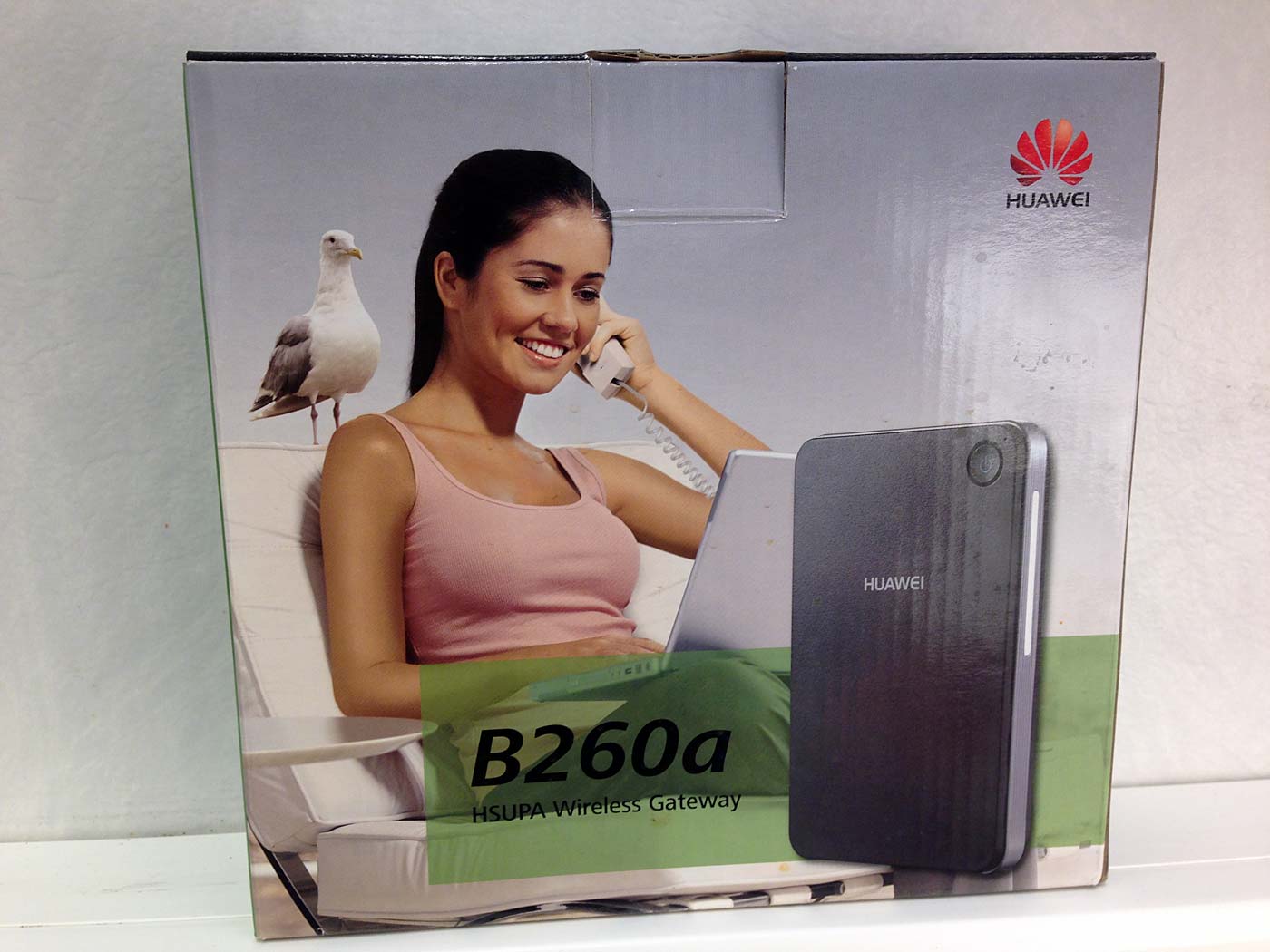 Djúpavík. And Trékyllisvík. I. - Ok, somewthing completely different: In the kitchen we found this box for W-LAN-Router. And we wondered why a sea bird stands behind the woman?! A bird on the cover picture of a box for a router - does not match well. But the bird makes the pictures interesting again! (11 October 2013)