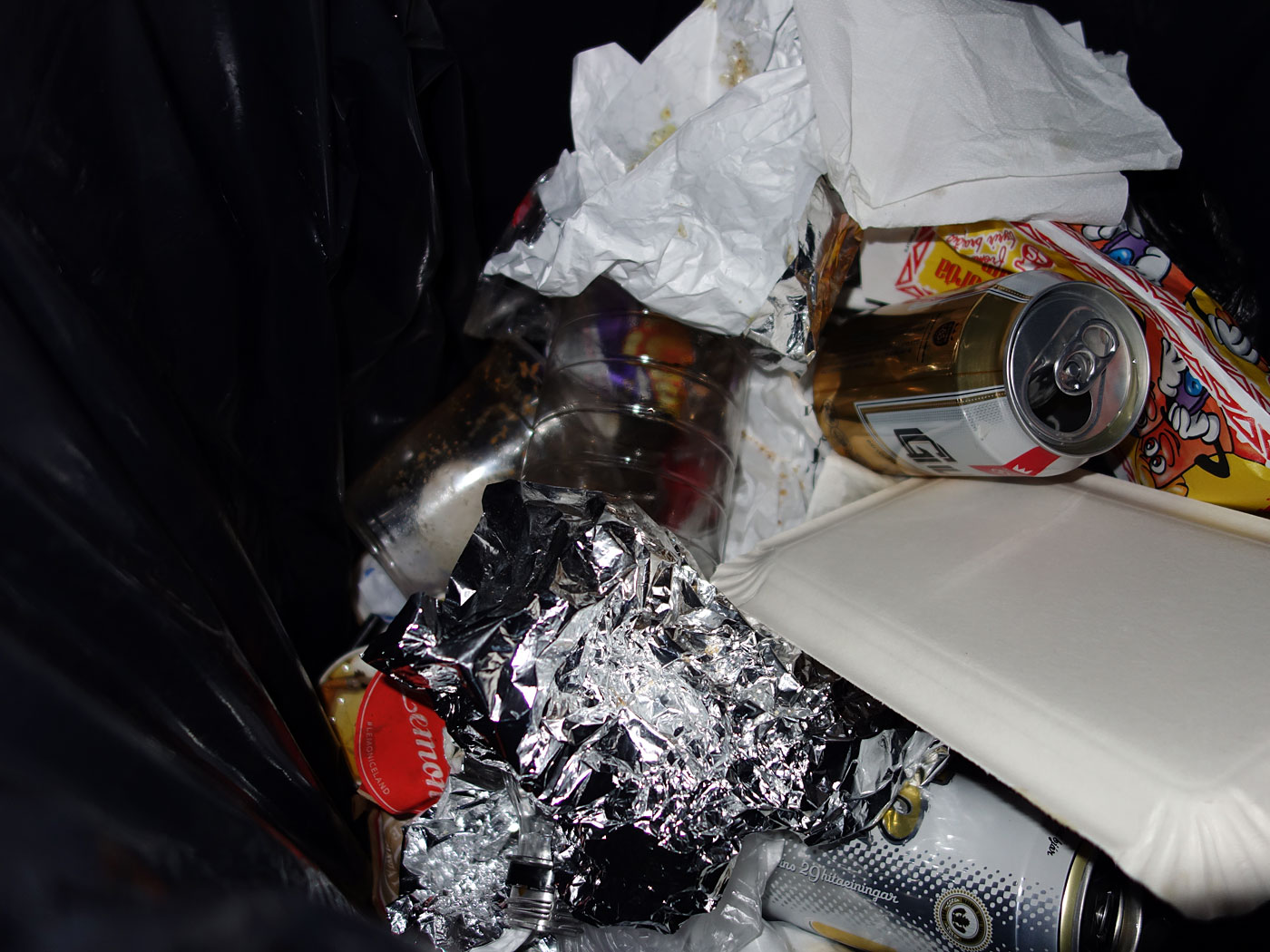 Reykjavík. Trash bins (on Laugavegur, at night). - Late at night a view in trash bins on Laugavegur. I. (2 November 2013)