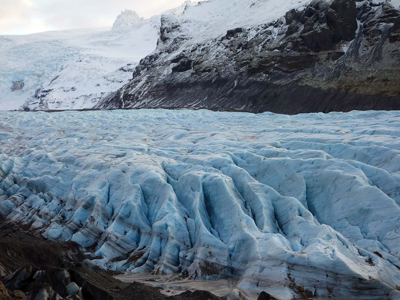 Südosten. Skaftafell, Svínafellsjökull. - Gletscherzunge Svínafellsjökull. (16.11.2013)