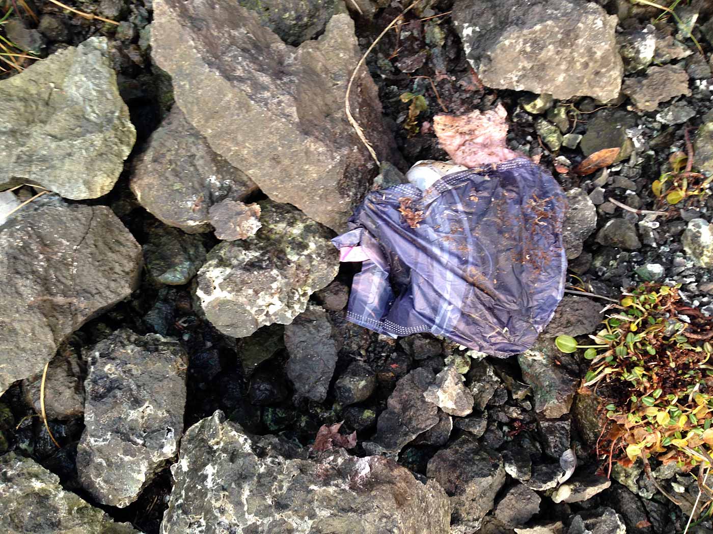 Southeast. Skaftafell, Svínafellsjökull. - Glacier snout Svínafellsjökull. Hello?! Which stupid person left this trash (plastic bag with something disgusting inside) here? I can't belive it - stupid, just stupid ... (16 November 2013)