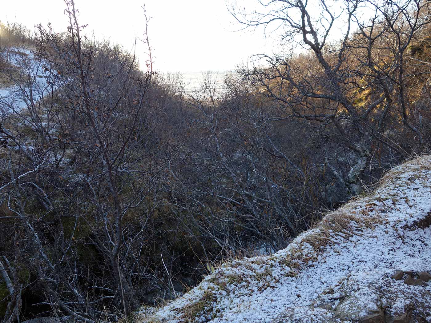 Skaftafell. A (wonderful) hike to Svartifoss waterfall. - Very close to ... (16 November 2013)