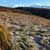 Skaftafell. A (wonderful) hike to Svartifoss waterfall.