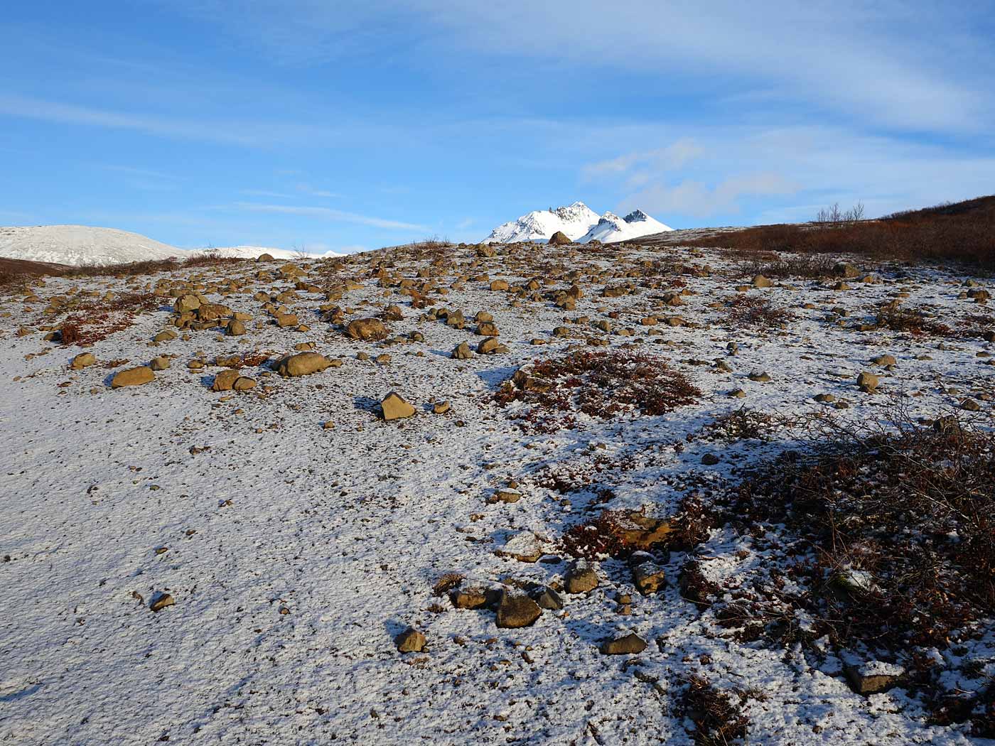 Skaftafell. A (wonderful) hike to Svartifoss waterfall. - . (16 November 2013)