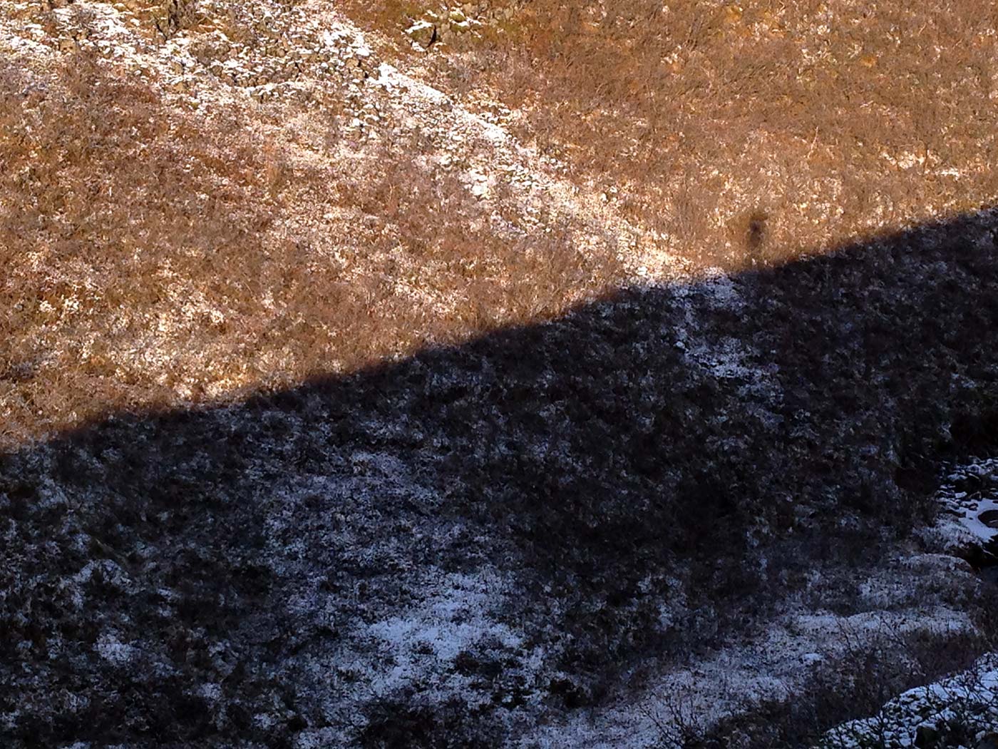 Skaftafell. A (wonderful) hike to Svartifoss waterfall. - . (16 November 2013)