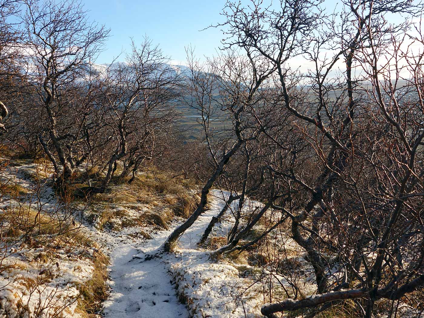 Skaftafell. A (wonderful) hike to Svartifoss waterfall. - ... (16 November 2013)