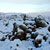 Kirkjubæjarklaustur bis (fast) Vík.