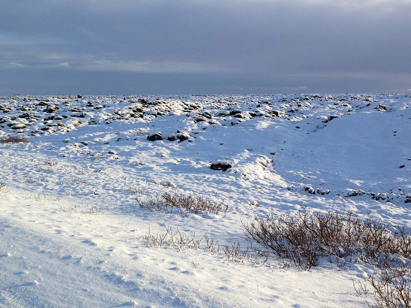 Kirkjubæjarklaustur bis (fast) Vík. - Eisige Welten - <a href='http://de.wikipedia.org/wiki/Laki-Krater' target='_blank' class='linksnormal'>Eldhraun</a>... IV. (17.11.2013)