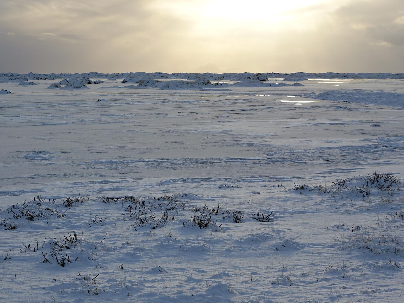 Kirkjubæjarklaustur to (almost) Vík. - Icy worlds - <a href='http://en.wikipedia.org/wiki/Laki' target='_blank' class='linksnormal'>Eldhraun</a>... VI. (17 November 2013)