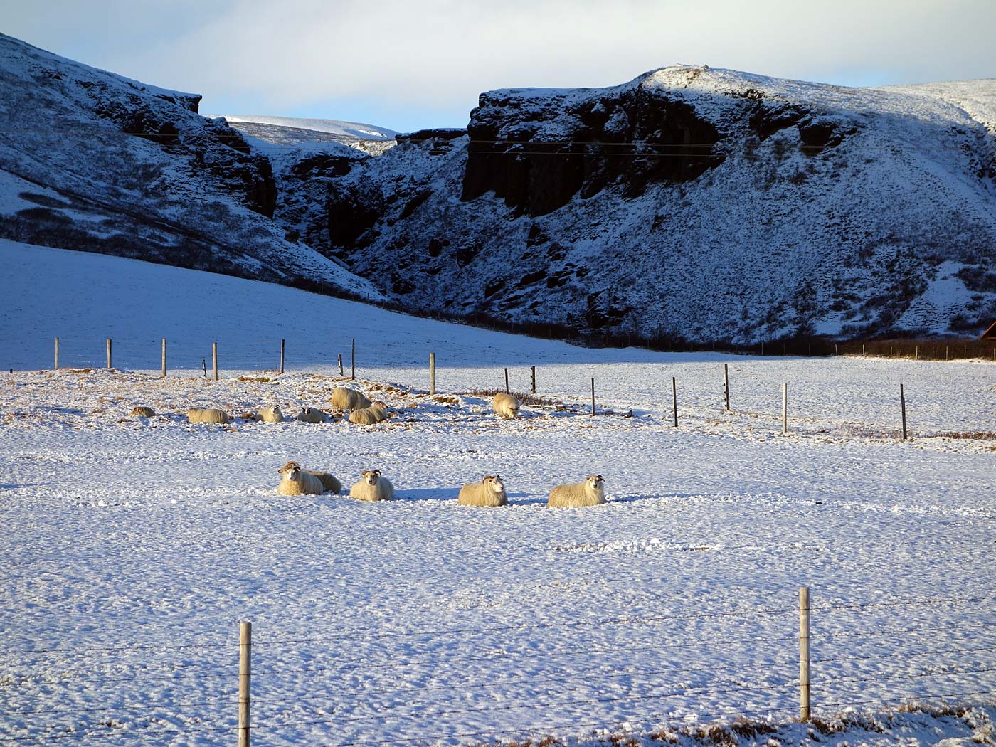 Kirkjubæjarklaustur to (almost) Vík. - Icy worlds ... XI. (17 November 2013)