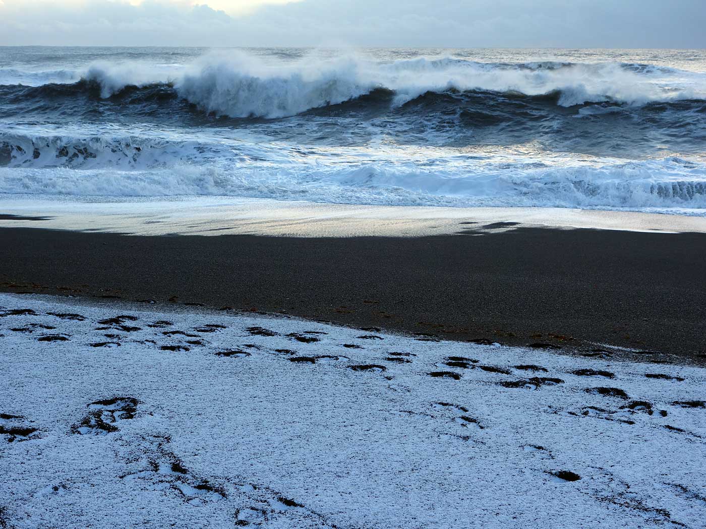 Beach Reynisfjára near Vík. - V. (17 November 2013)