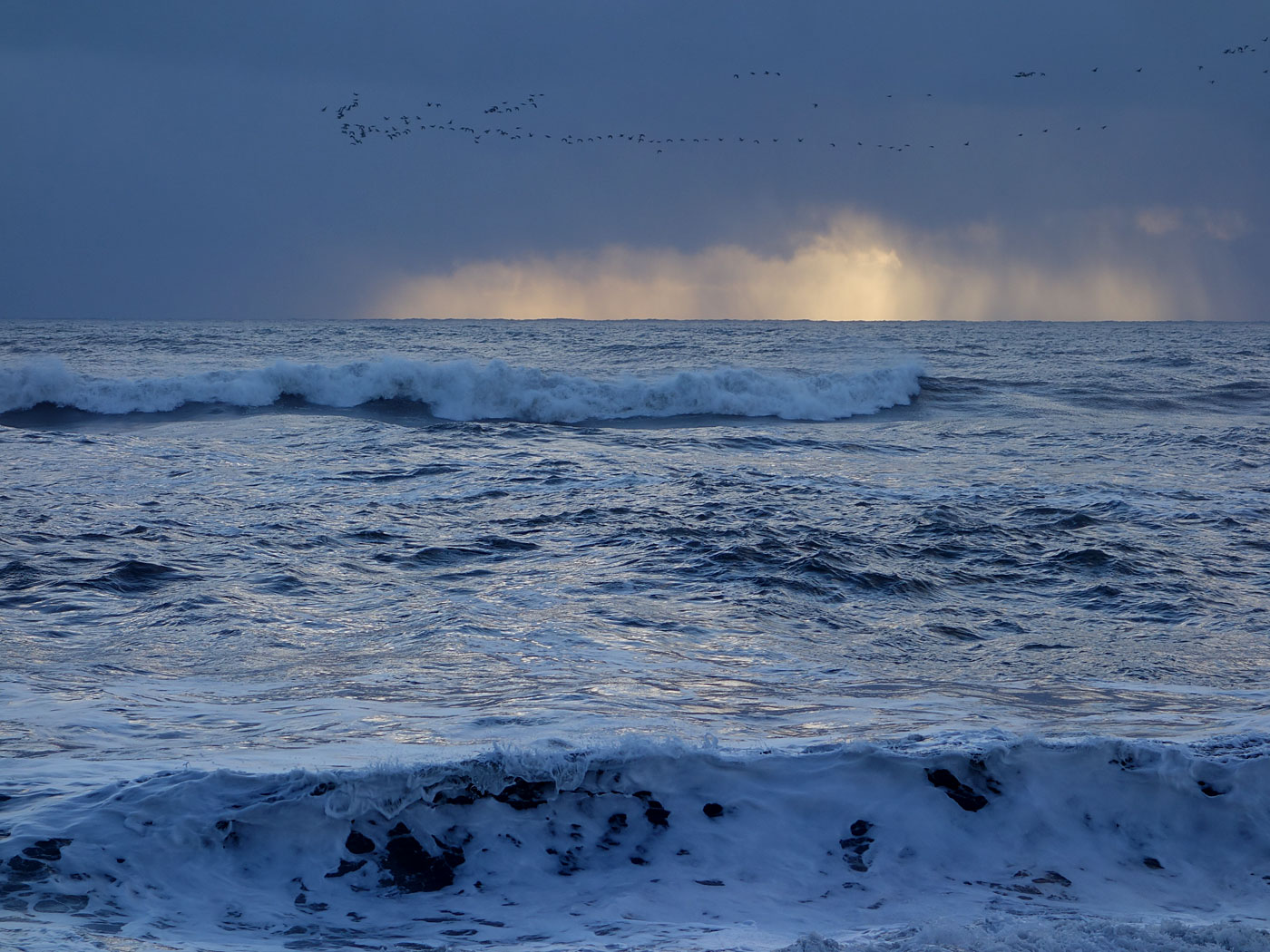 Beach Reynisfjára near Vík. - VI. (17 November 2013)