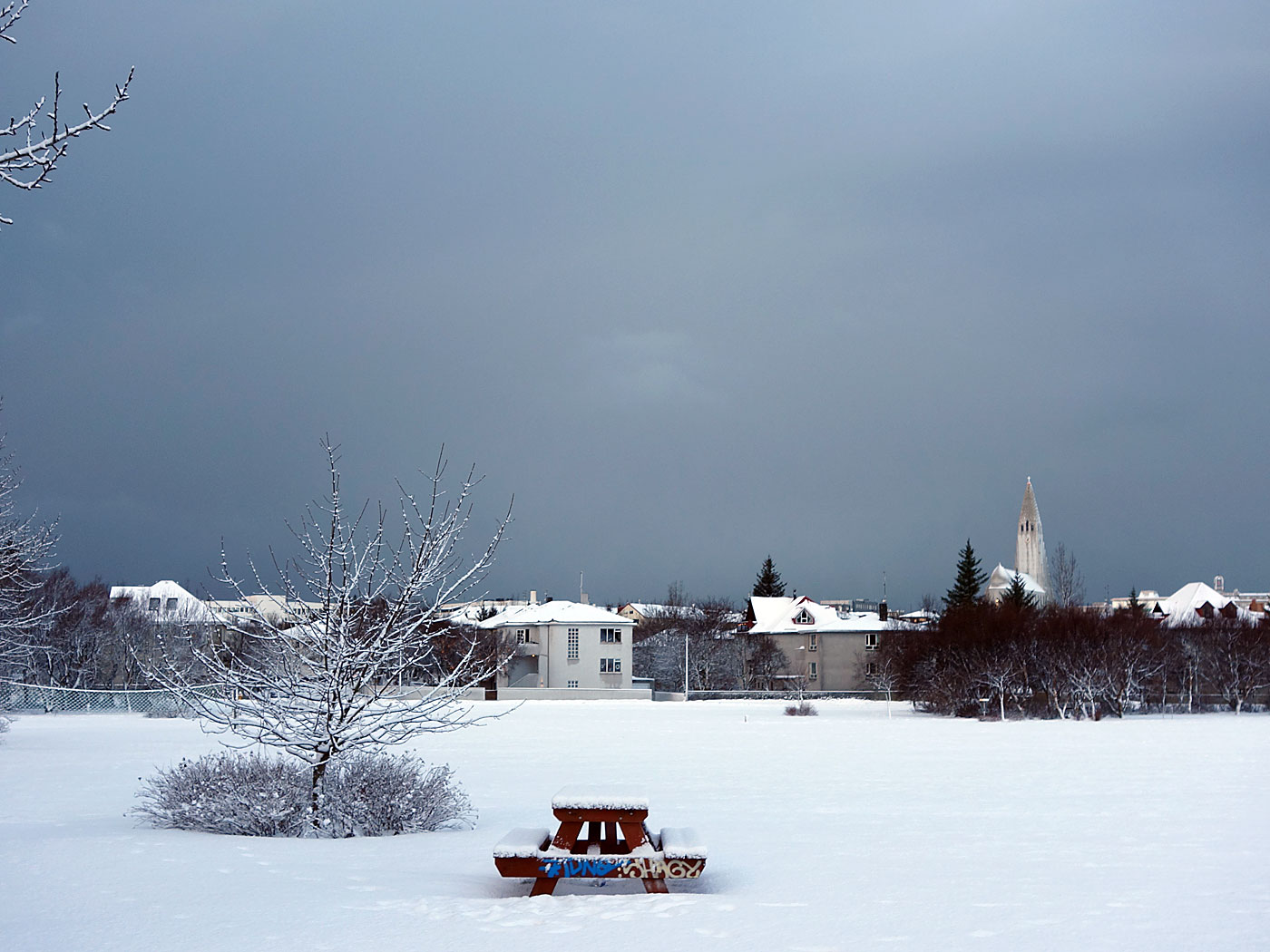 Reykjavík. Klambratún in snow. - <a href='http://freecitytravel.com/klambratun-park-reykjavik.html' target='_blank' class='linksnormal'>Klambratún park</a> in <a href='http://en.wikipedia.org/wiki/Snow' target='_blank' class='linksnormal'>snow</a>. II. (10 December 2013)