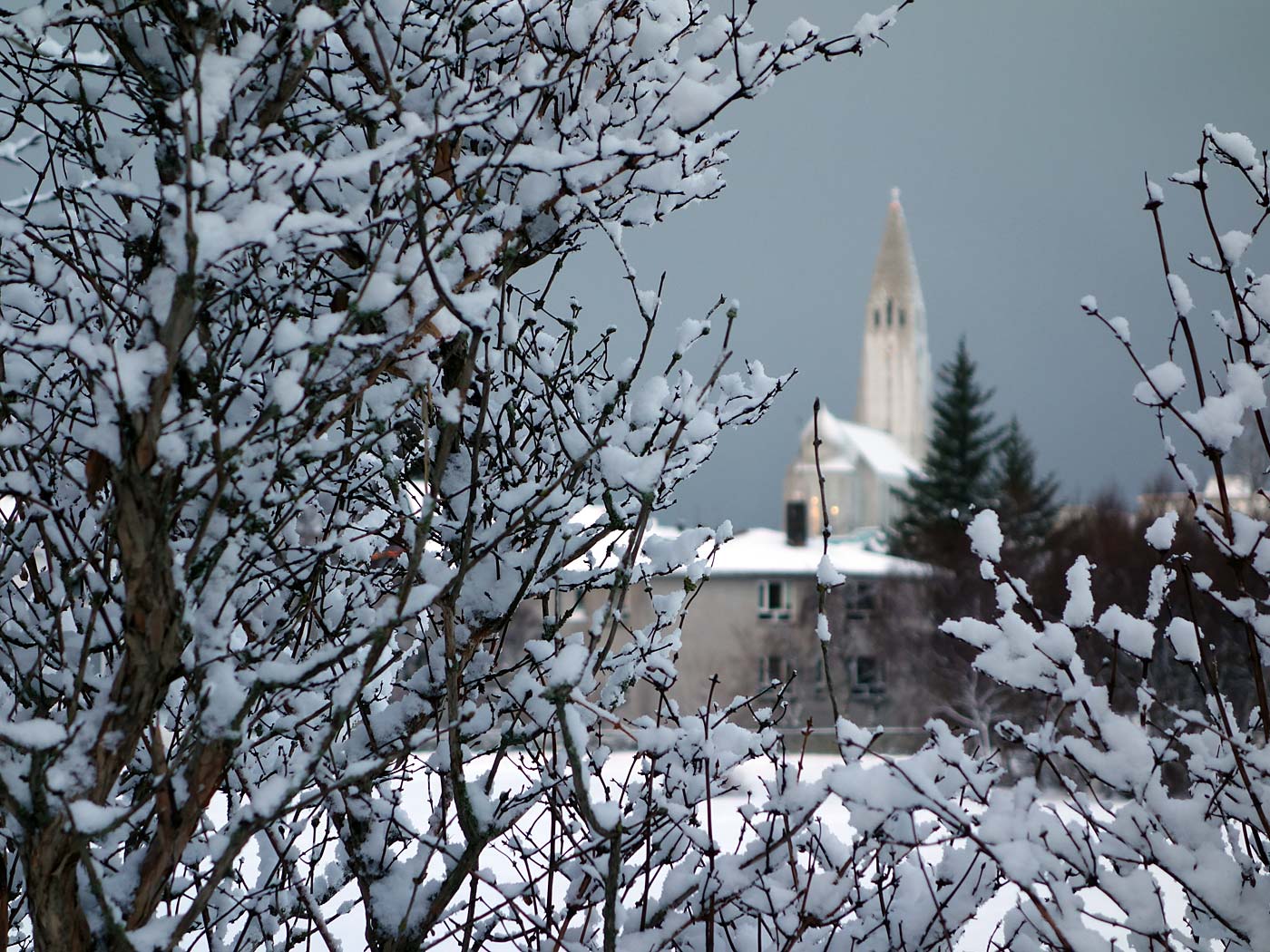 Reykjavík. Klambratún in snow. - <a href='http://freecitytravel.com/klambratun-park-reykjavik.html' target='_blank' class='linksnormal'>Klambratún park</a> in <a href='http://en.wikipedia.org/wiki/Snow' target='_blank' class='linksnormal'>snow</a>. V. (10 December 2013)