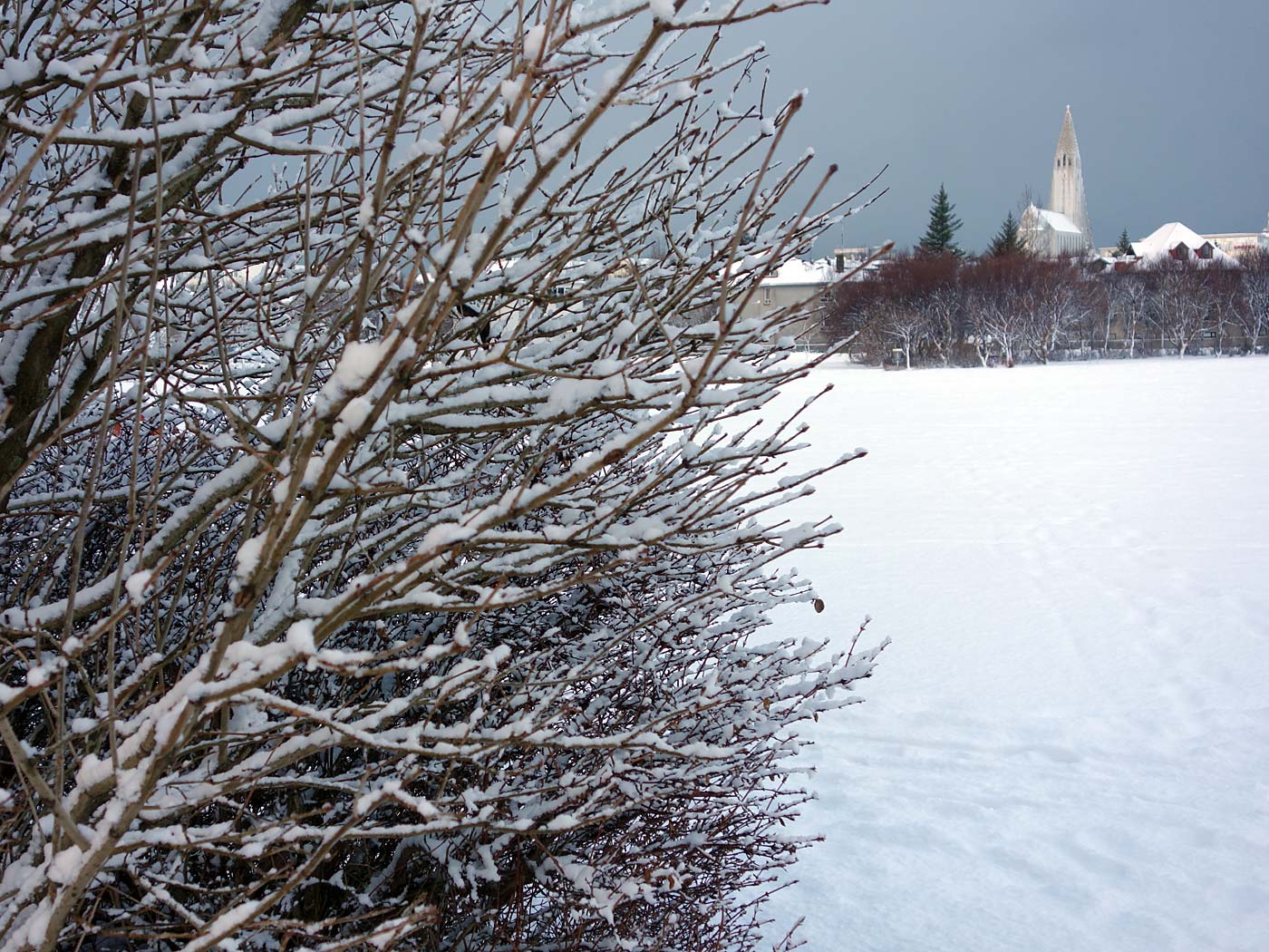 Reykjavík. Klambratún im Schnee. - <a href='http://freecitytravel.com/klambratun-park-reykjavik.html' target='_blank' class='linksnormal'>Park Klambratún</a> im <a href='http://de.wikipedia.org/wiki/Schnee' target='_blank' class='linksnormal'>Schnee</a>. VI. (10.12.2013)