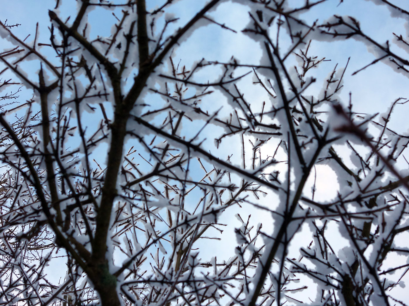 Reykjavík. Klambratún in snow. - <a href='http://freecitytravel.com/klambratun-park-reykjavik.html' target='_blank' class='linksnormal'>Klambratún park</a> in <a href='http://en.wikipedia.org/wiki/Snow' target='_blank' class='linksnormal'>snow</a>. VII. (10 December 2013)