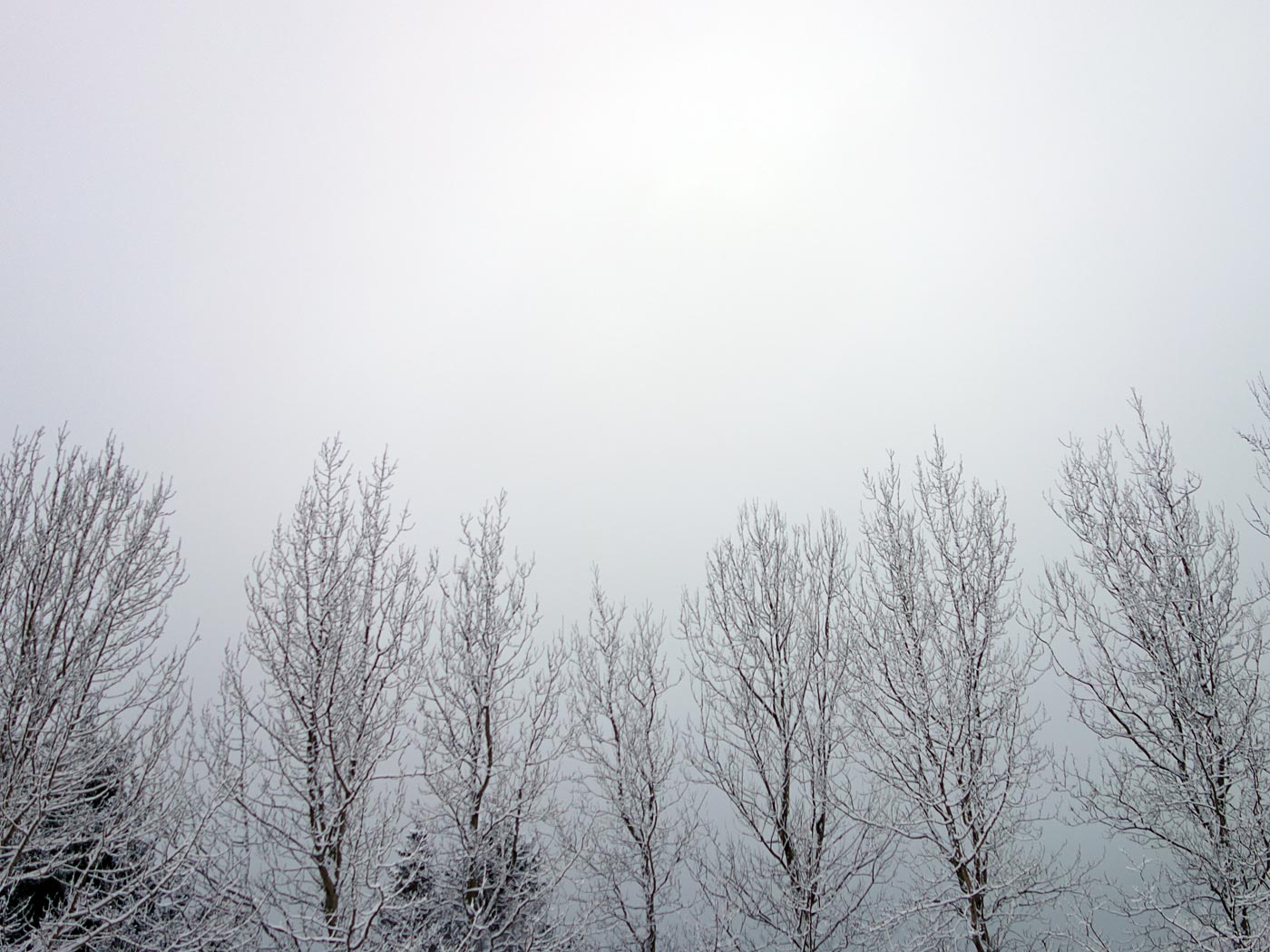 Reykjavík. Verschiedenes LXXI. - . (1. bis 25.12.2013)