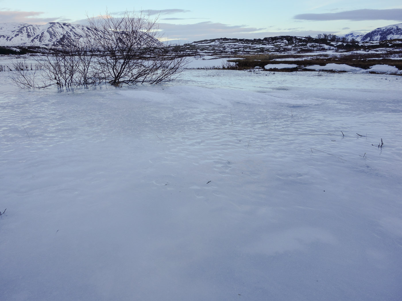 Þingvellir. Short trip. - Þingvellir, frozen ... I. (5 January 2014)