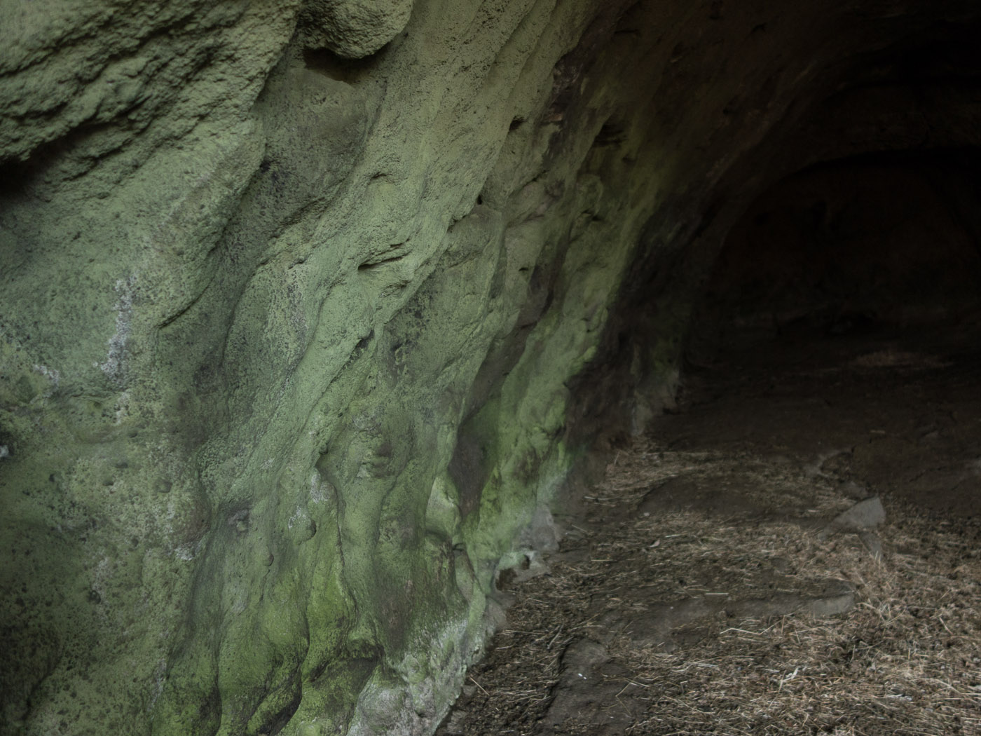 South Coast. Part 2 - Cave Rütshellir. - Wall inside the cave <a href='http://jeramydodds.squarespace.com/speculative-non-fiction/' target='_blank' class='linksnormal'>Rútshellir</a>. I. (18 January 2014)